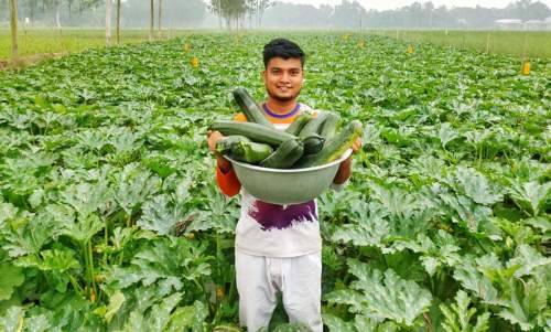 আধুনিক প্রযুক্তি ব্যবহার করে স্কোয়াশ চাষে সফল বিশ্ববিদ্যালয় শিক্ষার্থী