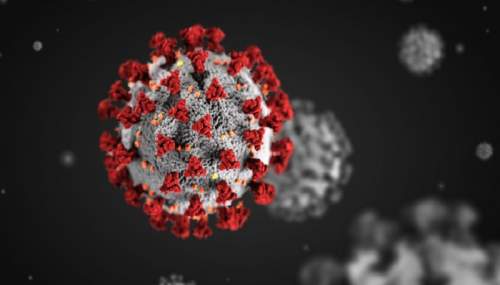 করোনায় দেশে আরও ৭৮ মৃত্যু, শনাক্ত ৩০৩১