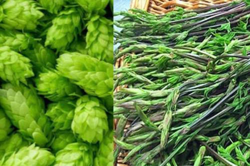 যে সবজির প্রতি কেজির দাম লাখ টাকারও বেশি!