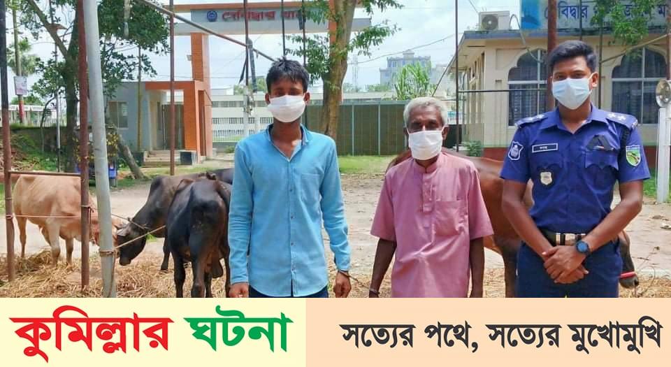 ৪ চোরাই গরু উদ্ধার, হোতা শ্বশুরবাড়ির জামাইসহ আটক -২ 