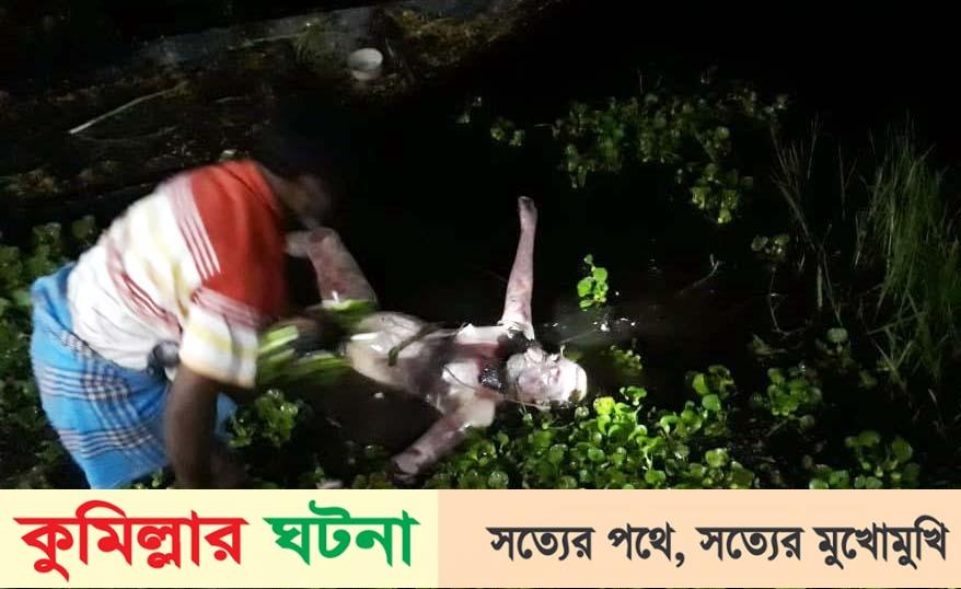 মুরাদনগরে ডোবা থেকে বৃদ্ধের লাশ উদ্ধার