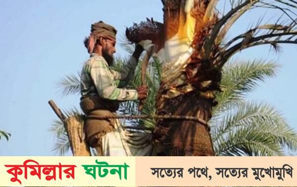 হেমন্তের শুরুতে  খেজুর গাছ পরিচর্যায় ব্যস্ত গাছীরা