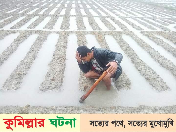 কুমিল্লার জেলায় টানা বৃষ্টিতে ডুবে গেল কৃষকের স্বপ্ন 