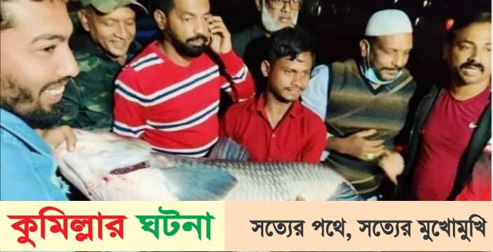 বড়শিতে ধরা পড়া ৪৩ কেজির ব্ল্যাক কার্প মাছটি উপহার দিলেন- এমপিকে