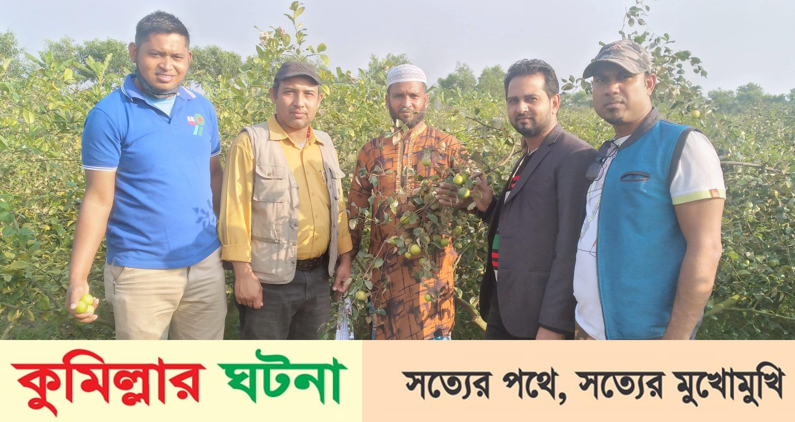 বল সুন্দরী কুল চাষে ইউনুস ভূঁইয়ার ভাগ্য বদল