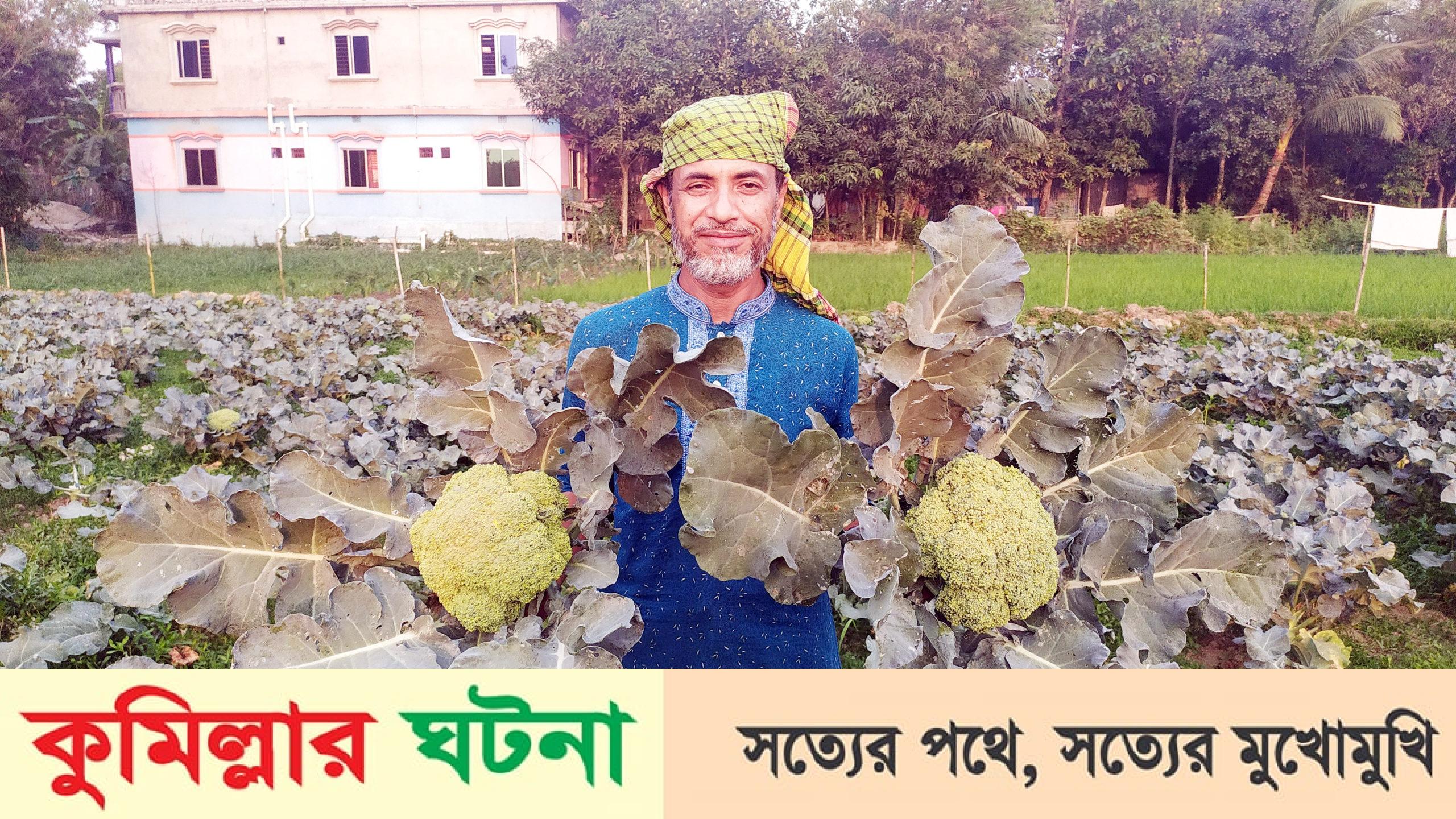 মুরাদনগরে কৃষকদের মাঝে বিদেশী সবজি চাষে বাড়ছে আগ্রহ