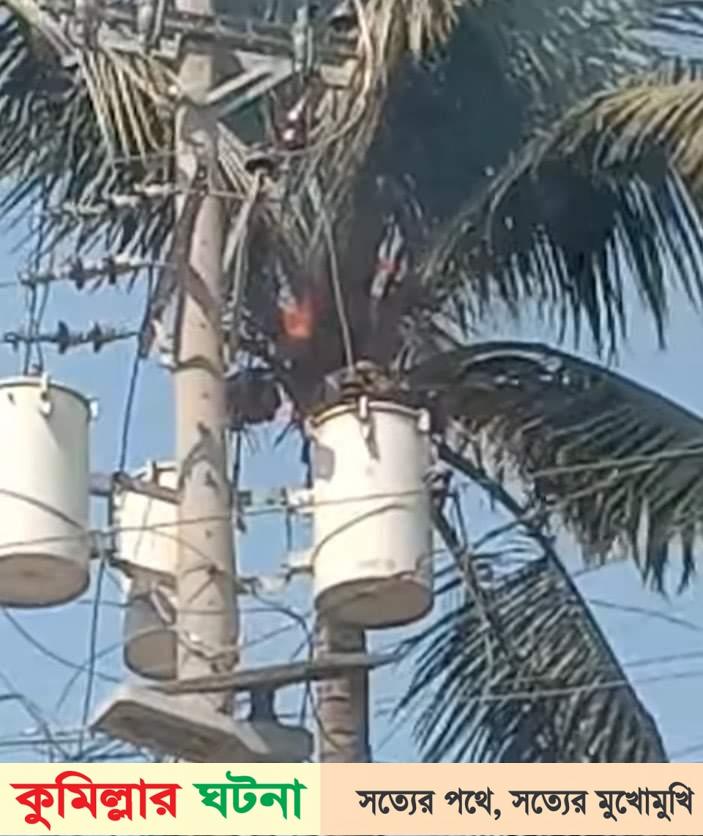 দেবীদ্বার নারিকেল গাছেআগুন!