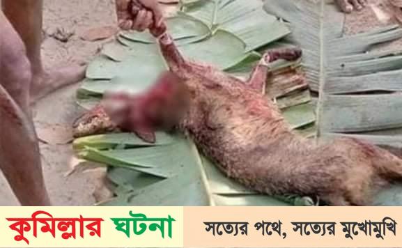 ফেসবুকে পোস্ট দিয়ে শিয়ালের মাংস বিক্রি, থানায় মামলা