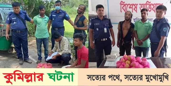 কুমিল্লায় গাঁজাকে মাল্টা বানিয়ে পাচারকালে ২ যুবক আটক