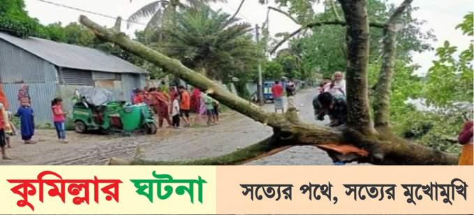 কুমিল্লায় বৈশাখী ঝড়ে গাছ পড়ে নিহত ১,আহত ৪