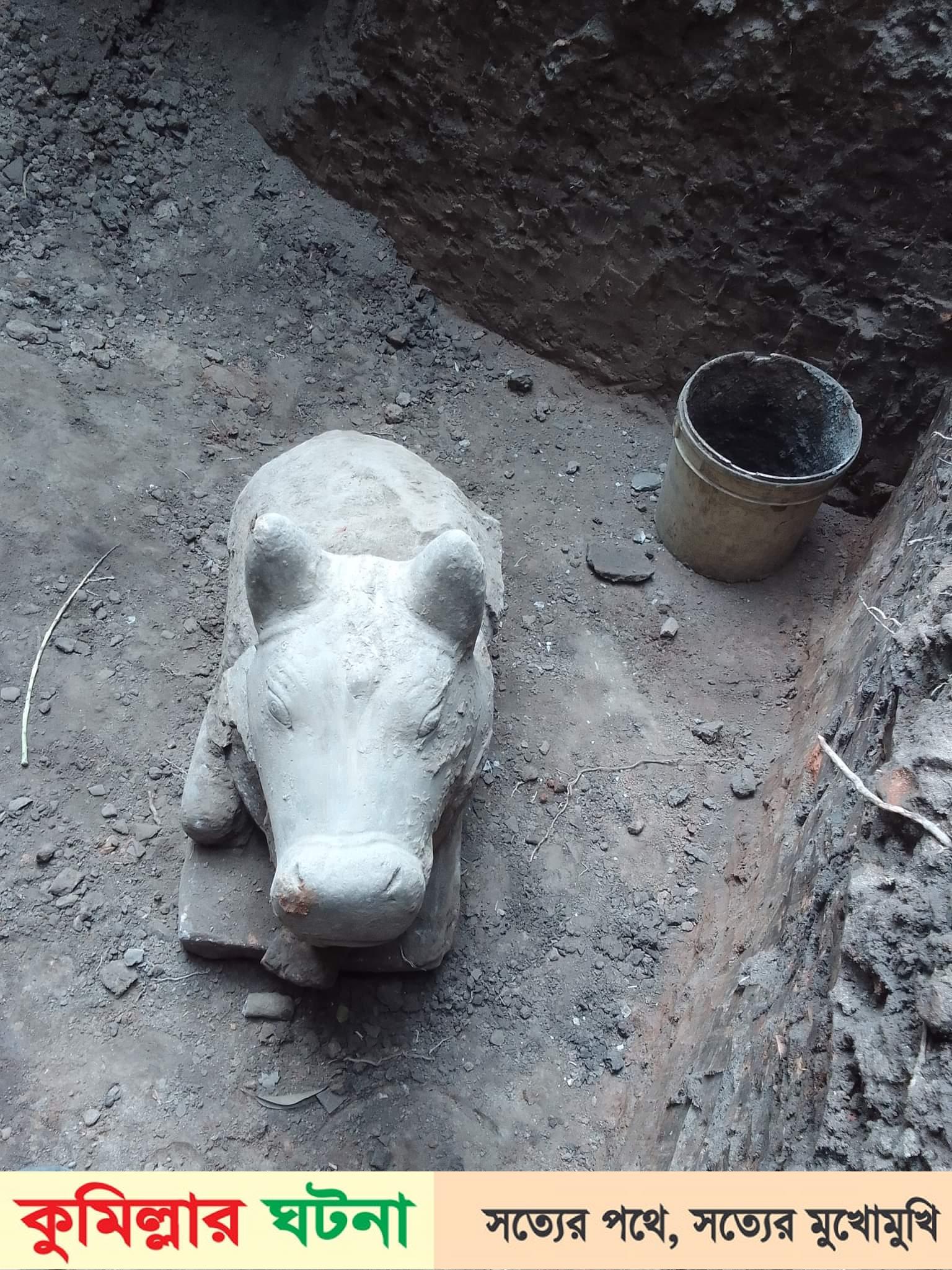 মাটির নিচ থেকে মিললো গরুর মূর্তি