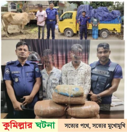 দেবীদ্বারে ১১ কেজি গাঁজা দুই চোরসহ আটক ৪