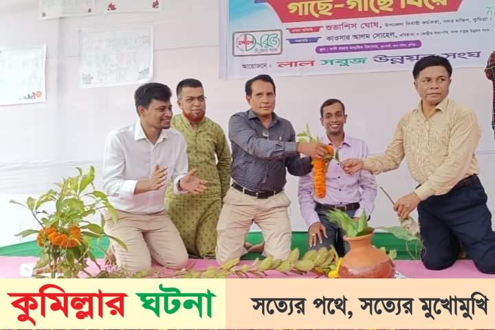 কুমিল্লার সদর দক্ষিণে গাছে-গাছে বিয়ে!