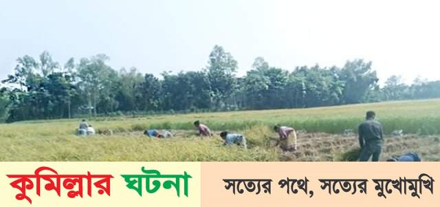 তিতাসে দুই কৃষকের হাতাহাতিতে একজনের মৃত্যু