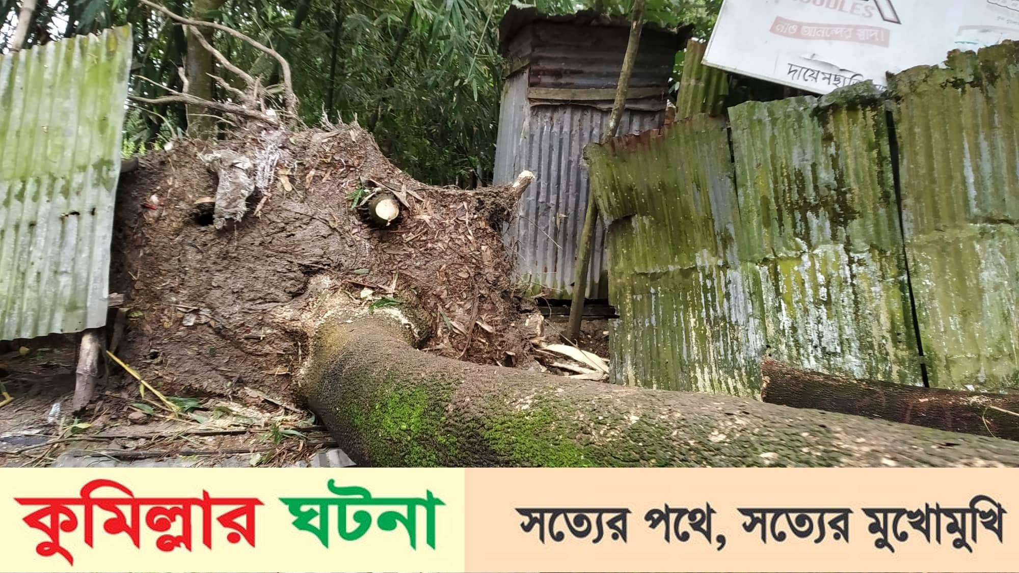 নাঙ্গলকোট ঘড়ের চালায় গাছ পড়ে একই পরিবারের ৩ জন নিহত