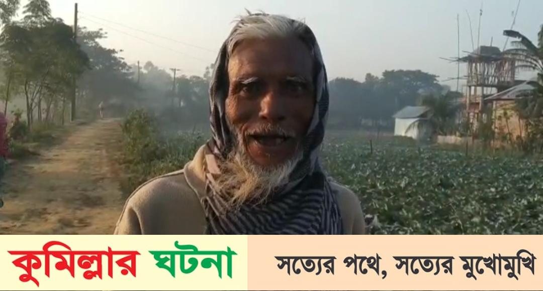 দেবীদ্বারে শীতকালীন সবজিতে কৃষকের হাসি