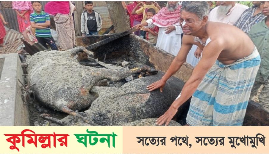 মুরাদনগরে শেষ সম্বল আগুনে পুড়ে ছাই হলো কৃষক সহিদ মিয়ার