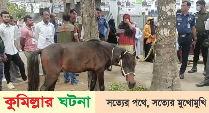 দাউদকান্দিতে ভোটের দিন কেন্দ্রের পাশ থেকে ঘোড়া জব্দ