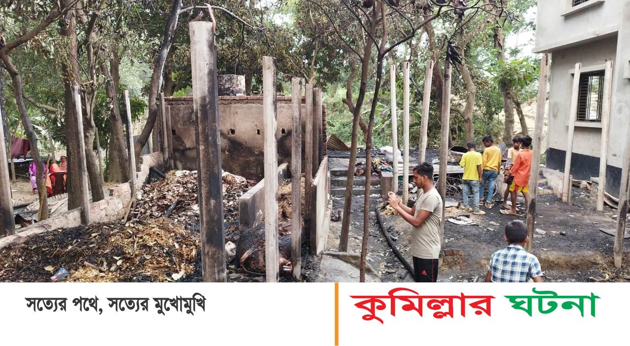 দেবীদ্বারে ভয়াবহ অগ্নিকান্ডে গরুসহ ৩টি ঘর পুড়ে ছাই