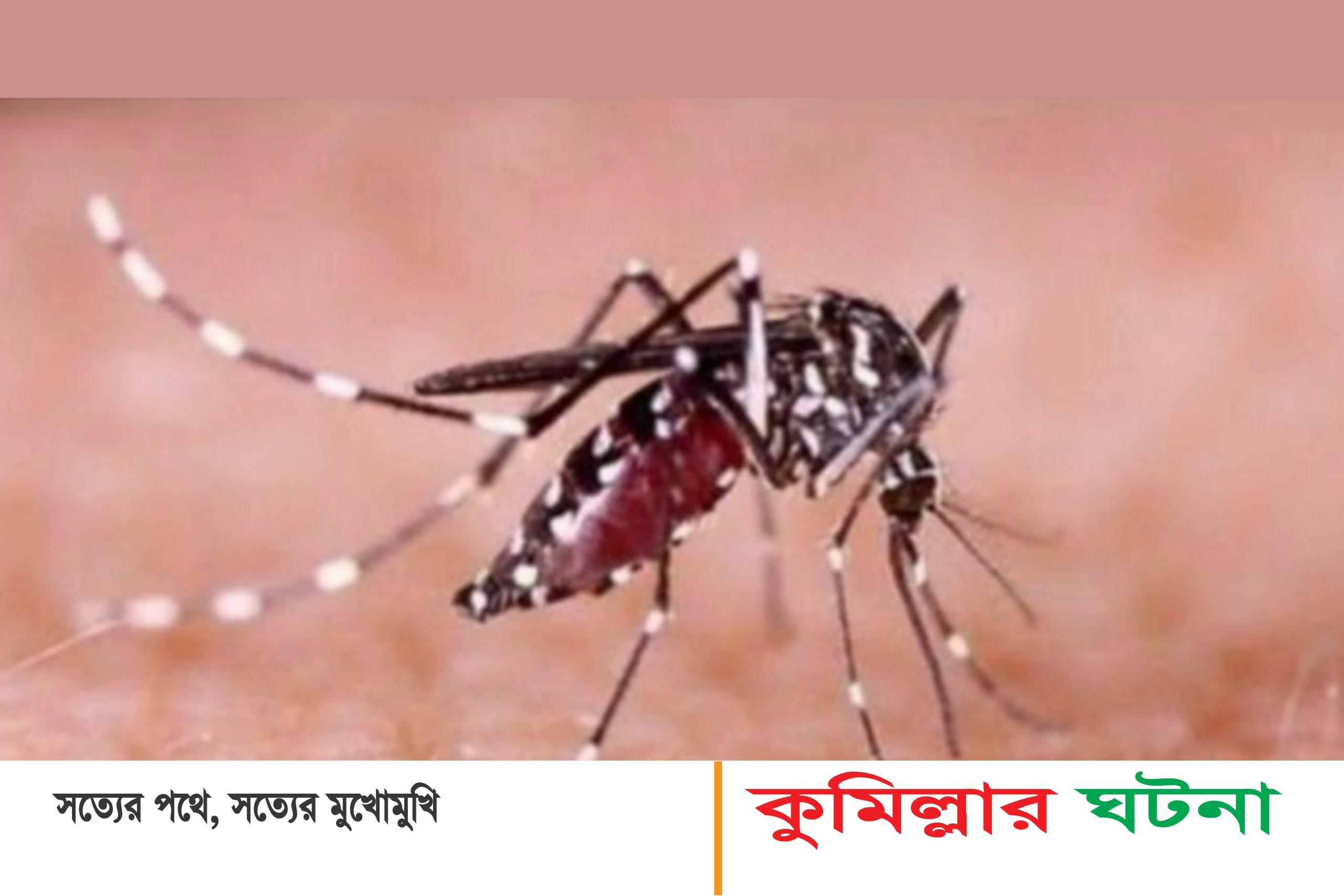 কুমিল্লায় ডেঙ্গু গত ২৪ ঘণ্টায় শনাক্ত ৫৪ জন