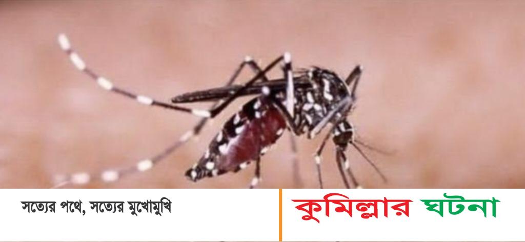 কুমিল্লায় ডেঙ্গু গত ২৪ ঘণ্টায় শনাক্ত ৪৭জন