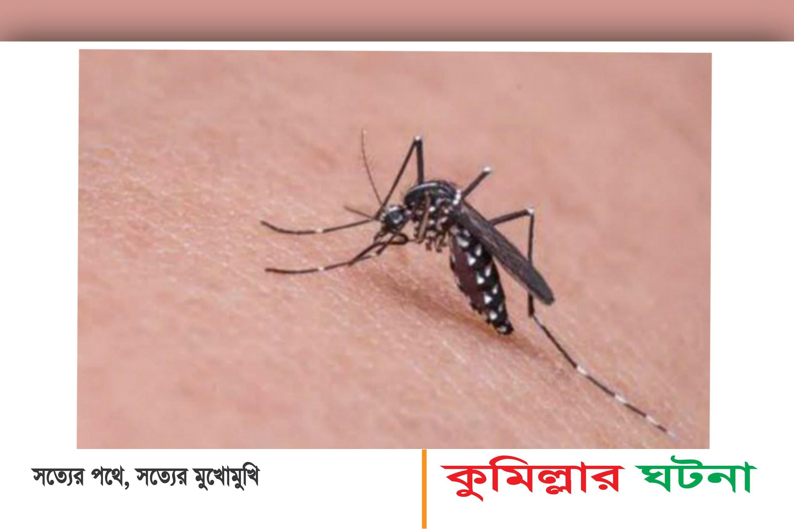 ব্রাহ্মণপাড়ায় ডেঙ্গুতে ৩ সন্তানের জননীর মৃত্যু