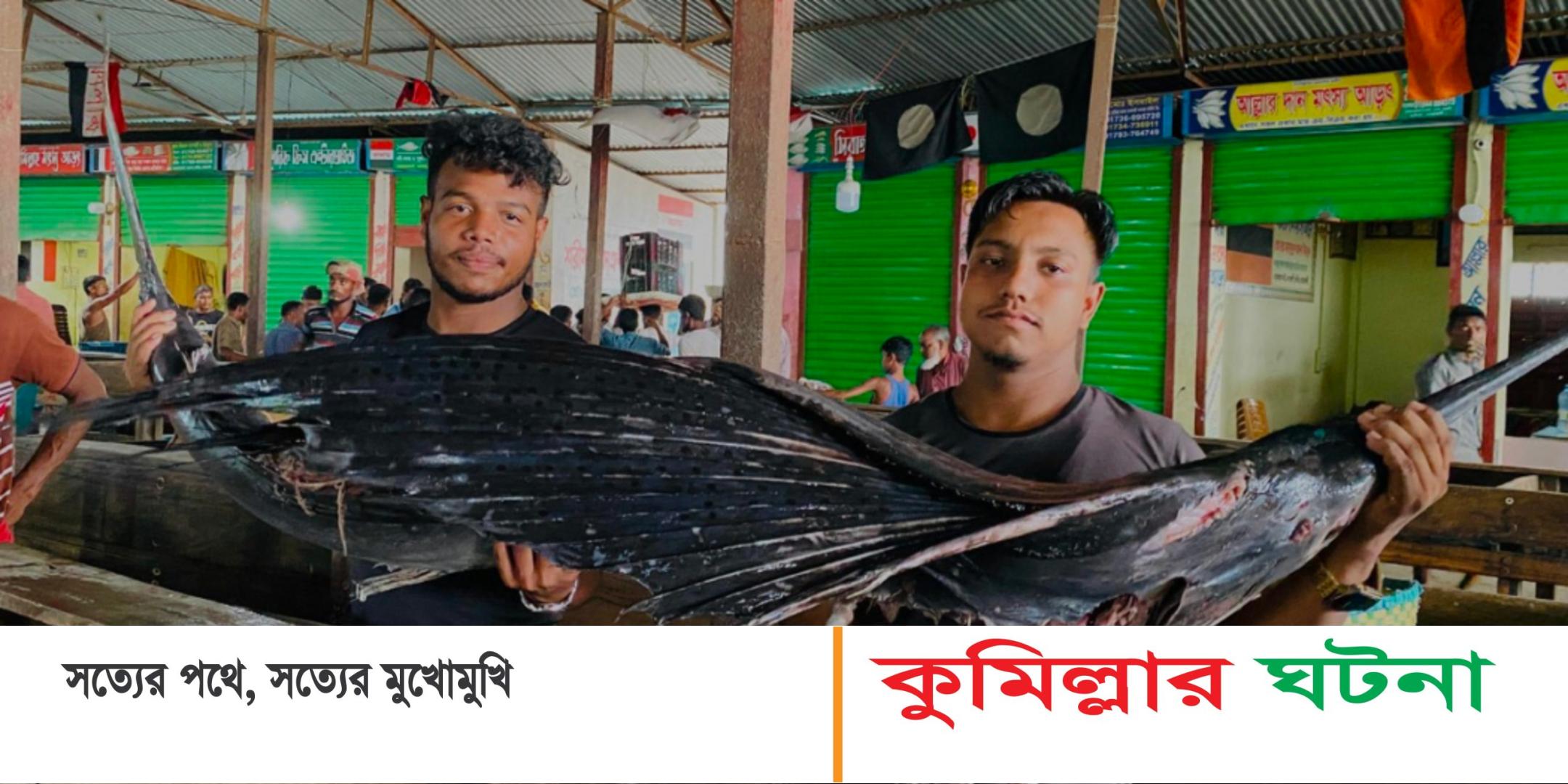 জেলের জালে আটকা পড়ল ২ পাখি মাছ