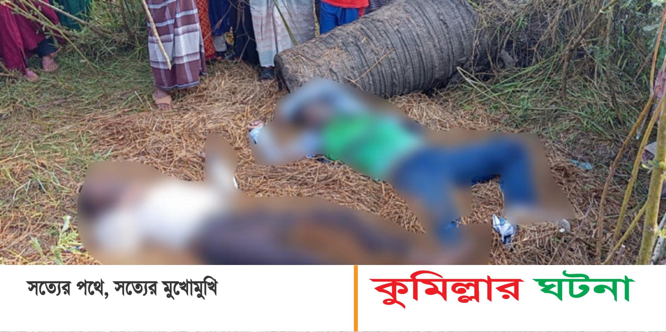 দেবীদ্বারে বিলের মধ্যে থেকে দুই যুবকের মরদেহ উদ্ধার