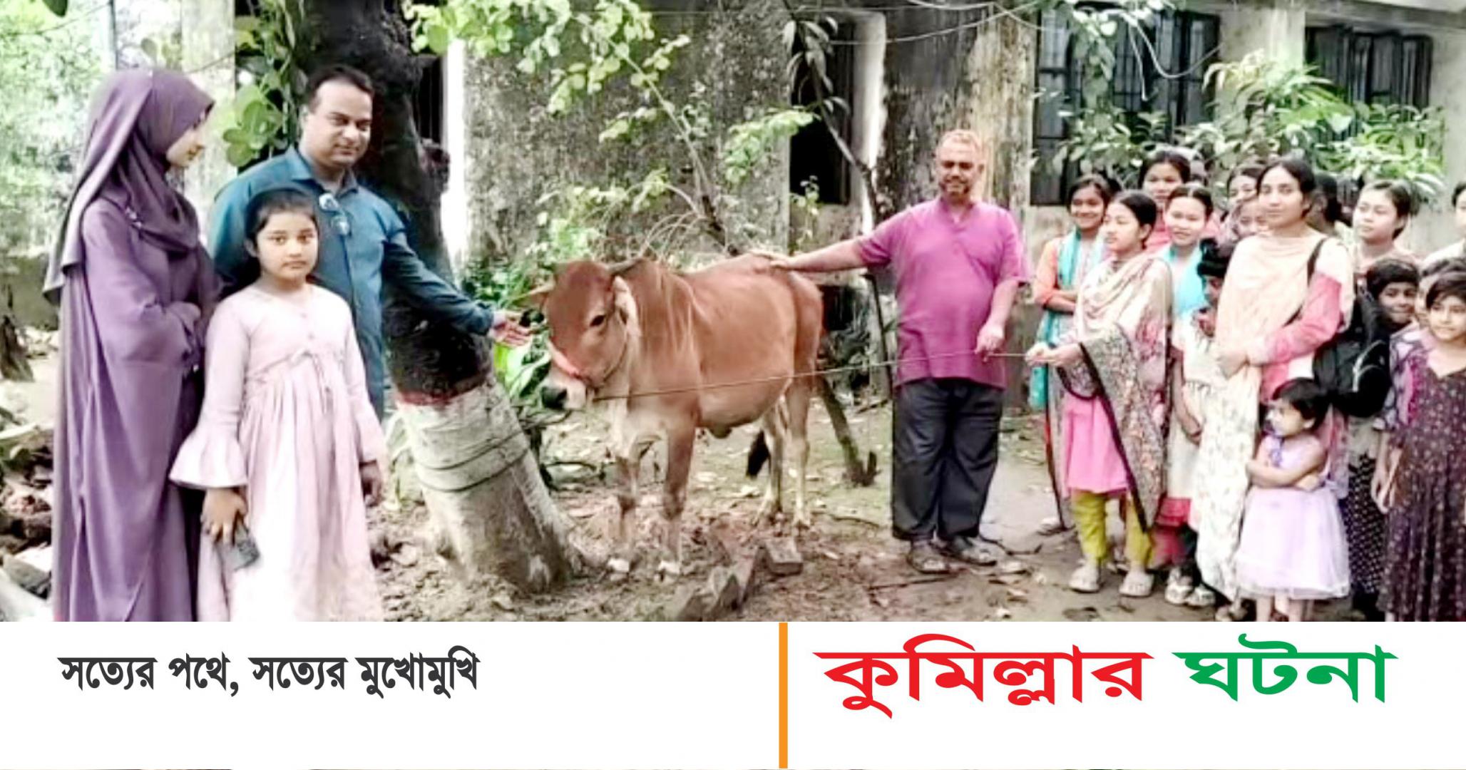 কুমিল্লায় সরকারি শিশু পরিবারে গরু উপহার