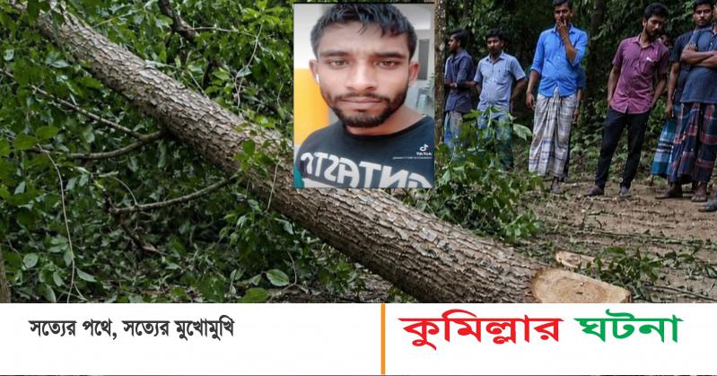 হোমনায় গাছ কাটতে গিয়ে প্রাণ হারালেন শ্রমিক