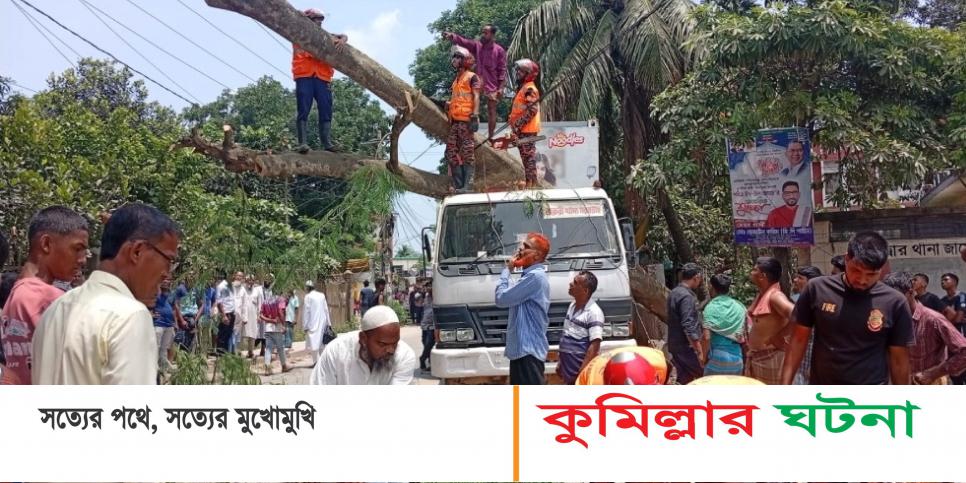 কৃষ্ণচূড়া গাছ উপড়ে পড়ে কুমিল্লা- সিলেট মহাসড়কে  ৩ ঘণ্টা যান চলাচল বন্ধ